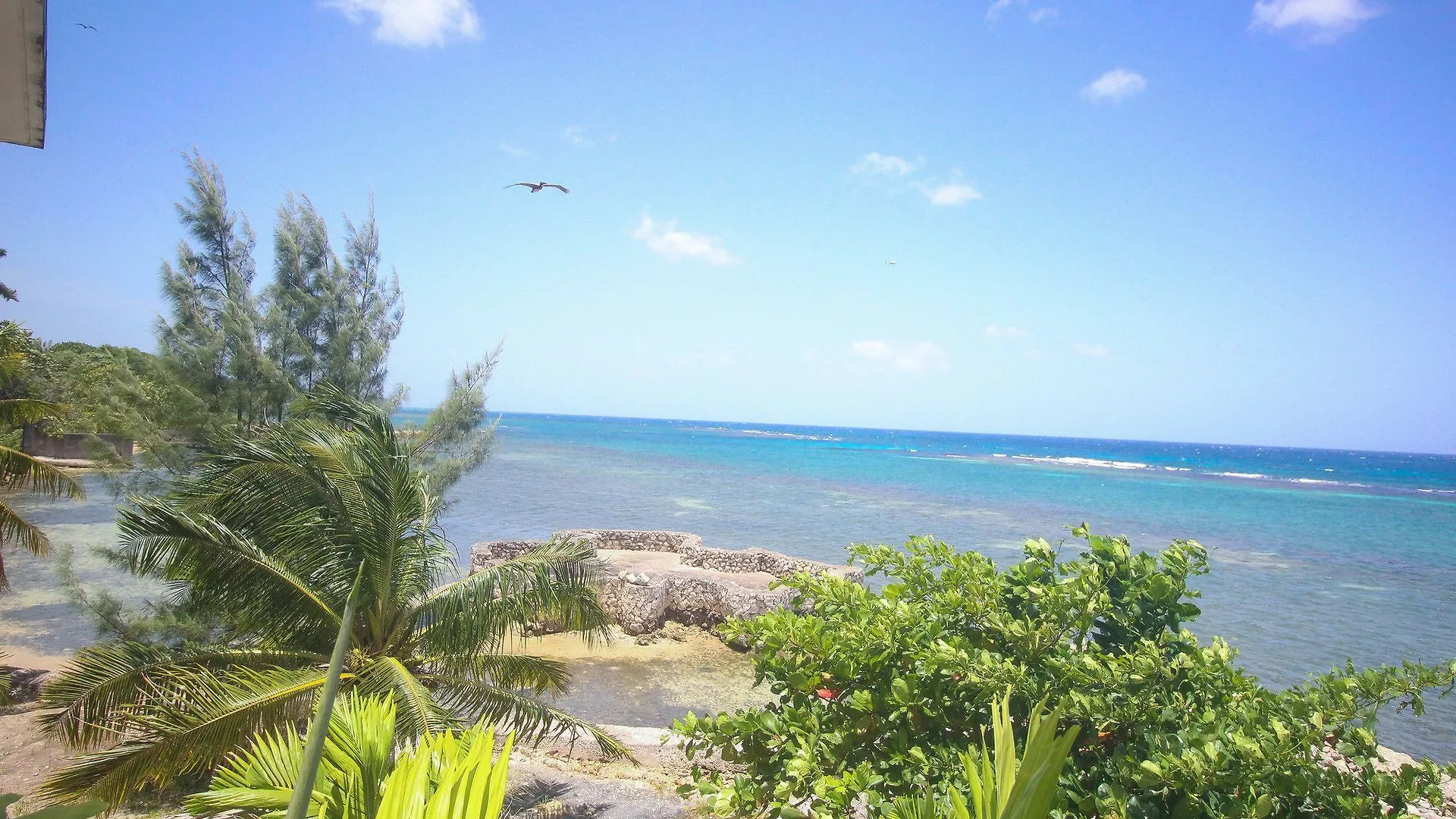 Sahara Hostel Montego Bay Jamaika